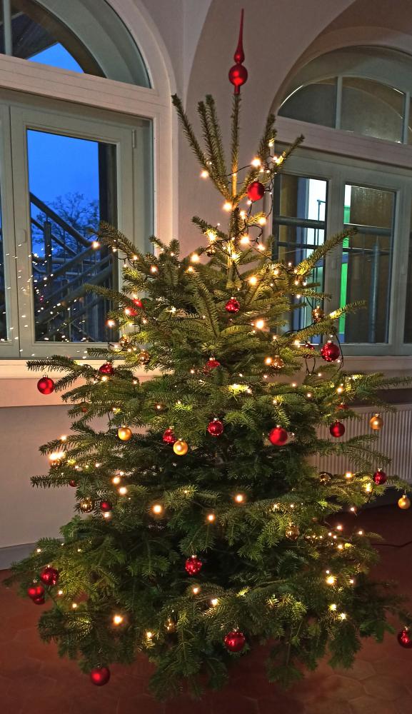 Bild "Willkommen:Baum.jpg"